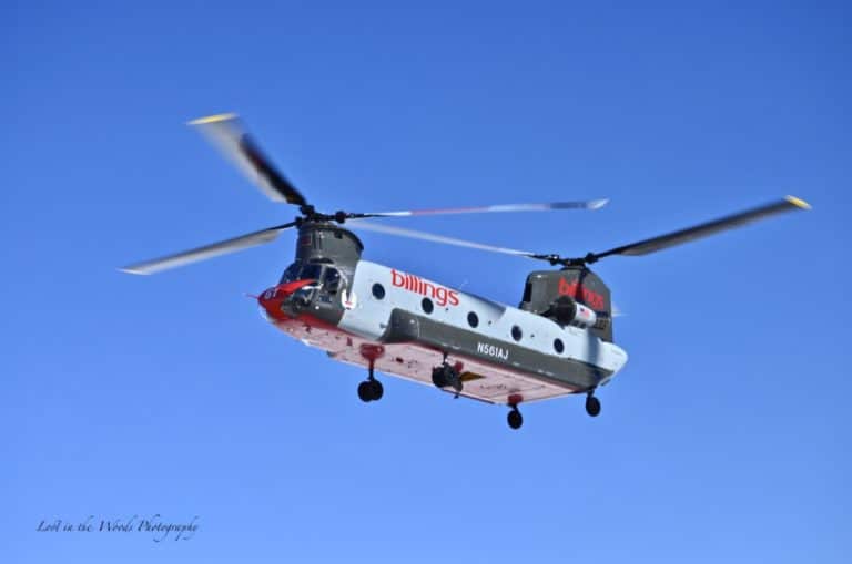 0hsLGs4FSlaFTdC960wd7g_thumb_96d