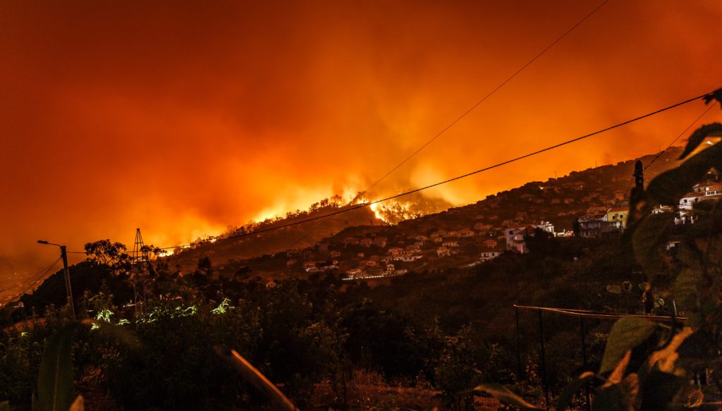 Wildfire destroying suburban community